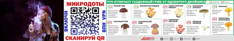 купить наркотики цена  Иланский  Псилоцибиновые грибы ЛСД 